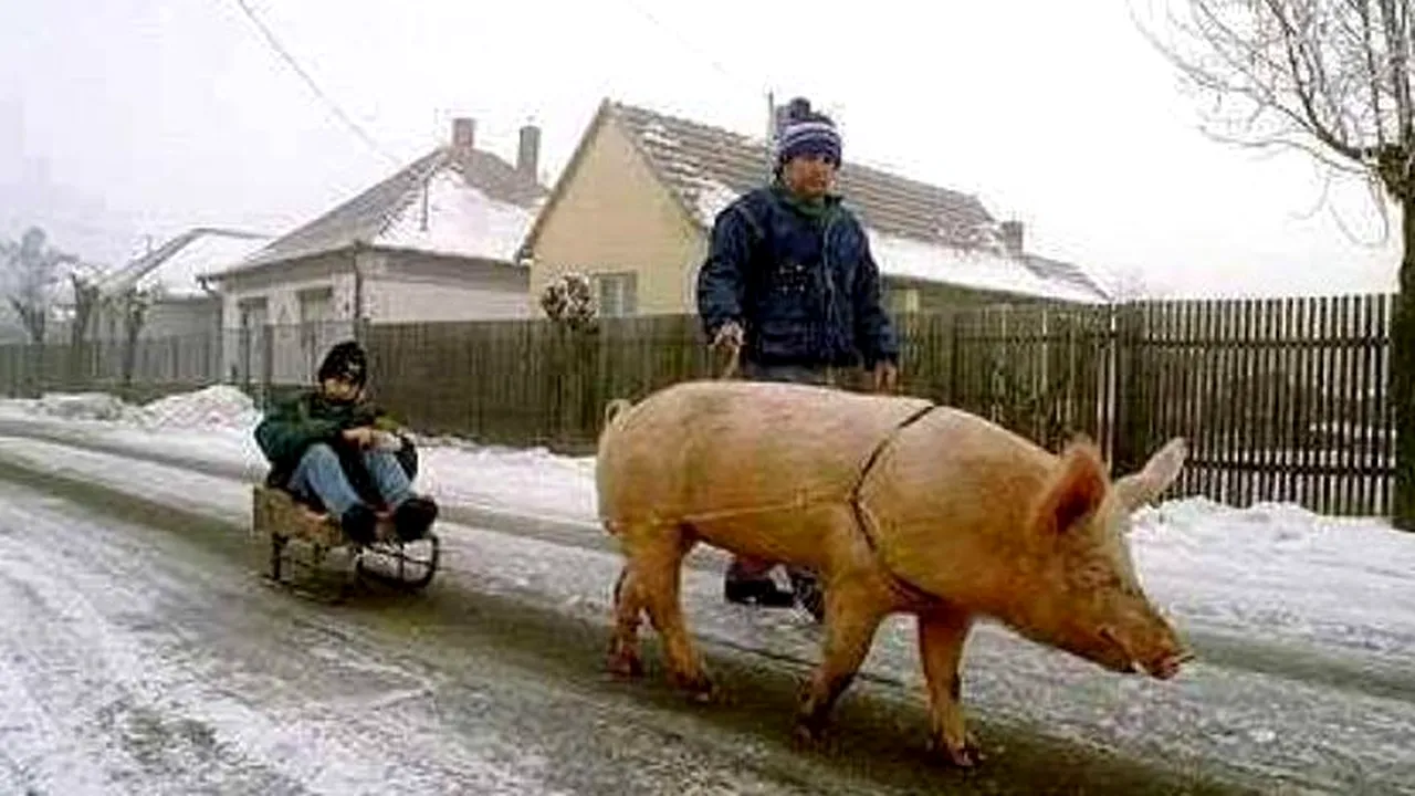 Se întâmplă în satul Flămânzi din Botoșani. „Eu nu am mai văzut așa ceva