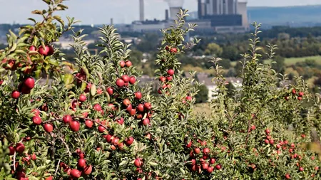 Enel a scos din uz Unitatea I a centralei pe cărbune Bocamina