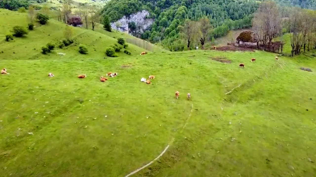 Locul din România aflat între cele mai frumoase 20 din Europa. Este considerat cel mai bine păstrat secret din Europa de Est