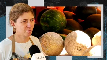 Cum alegem un PEPENE copt și dulce. Cele mai tari ponturi, direct de la producători