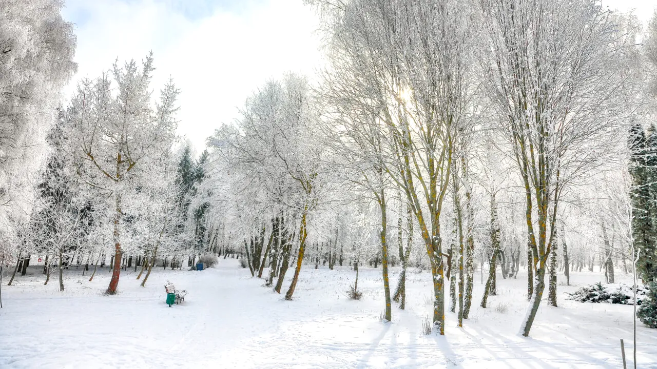 După temperaturi de aprilie, VREMEA s-a schimbat radical. Până când se vor menține valorile scăzute