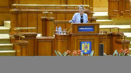 Liberalii și Guvernul contestă la CCR ordonanța privind plagiatele