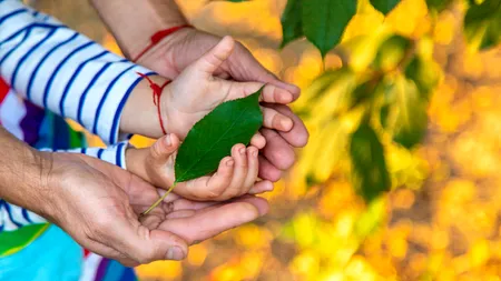 Cum se calculează perioada pentru creșterea copilului. Ce anunț a făcut Casa Națională de Pensii Publice