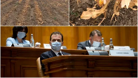 Avertismentul fermierilor către Orban, Oros și Cîțu: „Țineți-vă de cuvânt cu promisiunile pe care le faceți. În caz contrar, în septembrie, membrii noștri sunt cei care vă vor taxa la vot”
