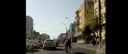 Imagini inedite: Un cal se plimbă nestingherit pe un bulevard din Baia Mare - VIDEO