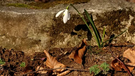 VREMEA. Cum va fi vremea până la începutul lunii februarie