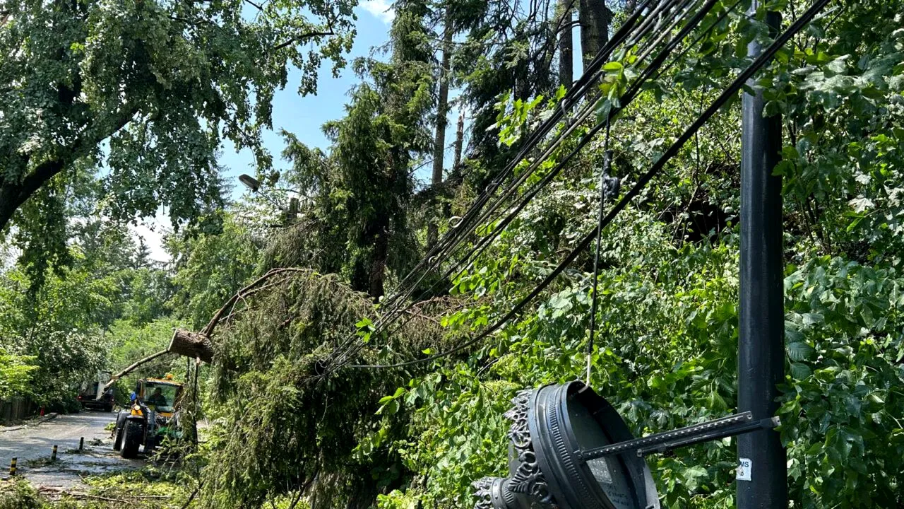 Castelul Peleș și Casa Memorială „George Enescu”, AFECTATE de furtuna puternică din Sinaia. Care sunt pagubele constatate de autorități