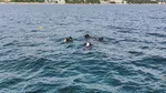 Alertă în Marea Neagră. Au fost găsite resturi de dronă. Scafandrii militari au intervenit în zona Grindului Chituc