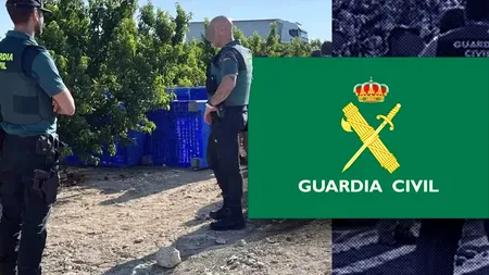 Zeci de ROMÂNI au fost transformați în sclavi pe plantații în Spania