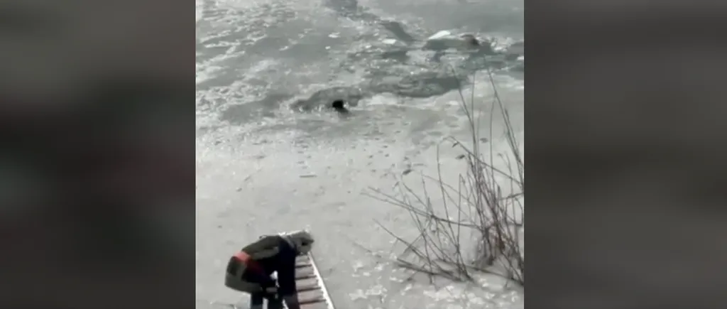 Pompierii suceveni au salvat de la înec un cățel care căzuse în apele înghețate ale Siretului (VIDEO)