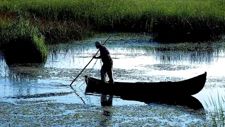 PĂȚANIA unui pescar care s-a lăudat pe Facebook cu o captură impresionantă. Ce le-a atras atenția comisarilor Gărzii de Mediu