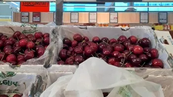 Cât costă un kilogram de cireșe la Lidl. E dublu față de prețul din piață