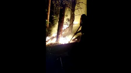 Incendiu de vegetație în Alba. Circa 2.000 de metri pătrați de vegetație au fost cuprinși de flăcări