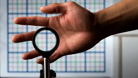 Un sistem optic de camuflare perfectă a fost creat de cercetătorii americani
