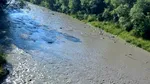 Poluare pe Jiu, după ce iazul de decantare al termocentralei Paroșeni s-a rupt. Ar fi fost afectate fauna și flora acvatică