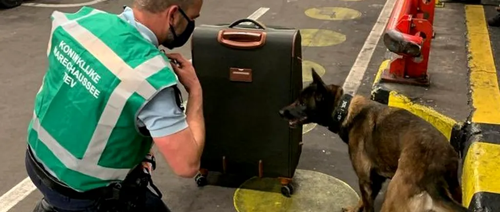 „Terorist” român în stare de ebrietate, arestat pe aeroportul Schipol. A mințit că are o bombă în bagaj!