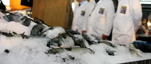 Comisar UE: Pescuitul ilegal în Marea Neagră - o problemă; copiii noștri ar putea rămâne fără pește