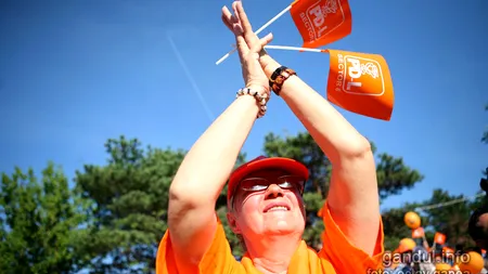 DNA verifică circuitul financiar al banilor cu care au fost finanțate campaniile PDL din 2008 și 2009