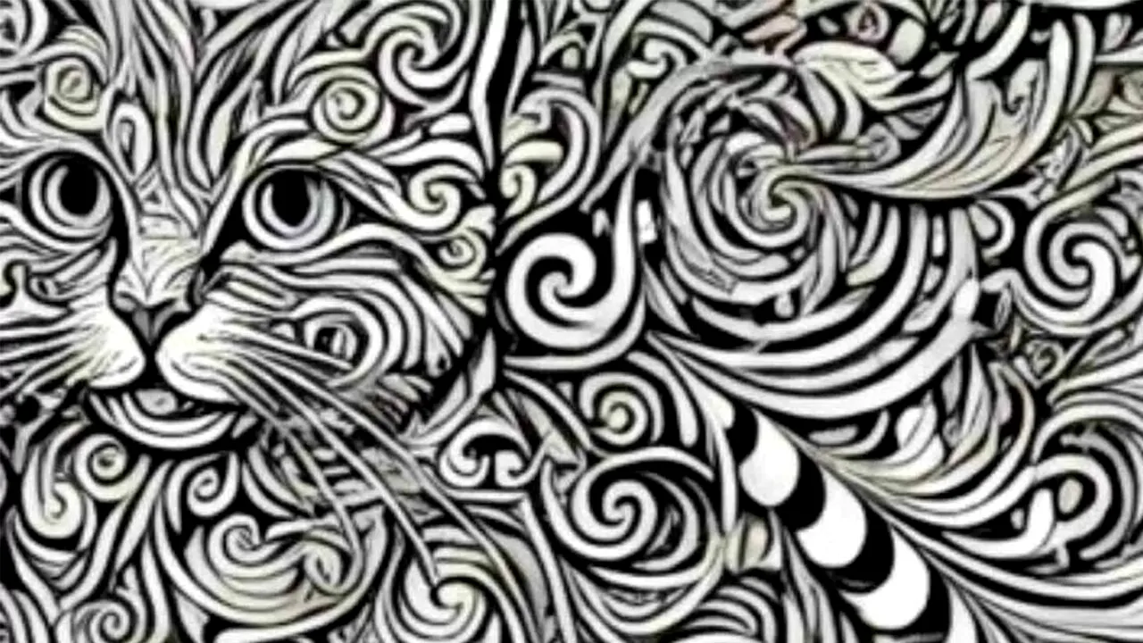 Iluzie optică virală | Oricine poate vedea pisica, însă doar geniile pot observa câinele din această imagine