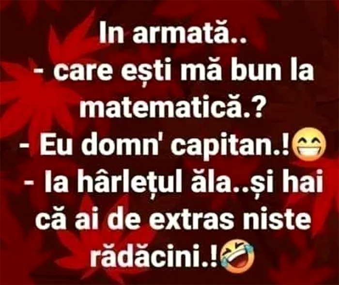 Sursa foto: Facebook