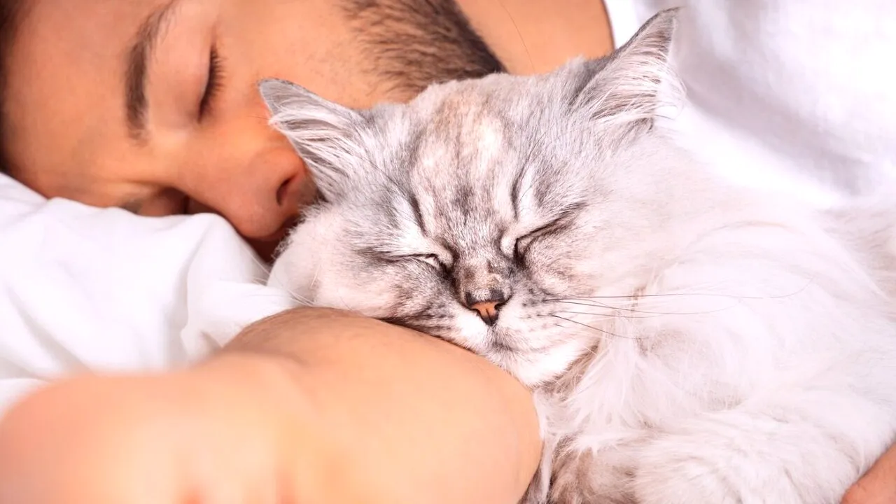 Motivul incredibil pentru care PISICILE aleg să doarmă lângă tine. Explicația oamenilor de știință