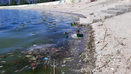 Mizeria de la „granița” dintre două instituții. Cine strânge gunoaiele de pe cel mai mare lac din București?