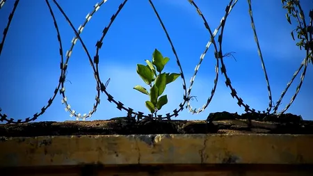 Prison break 2020. Cum au fugit din închisoare, cu arme și muniție, 219 deținuți periculoși!