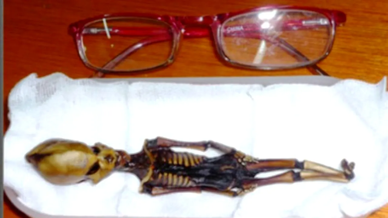 Misterul creaturii mumificate descoperite în Chile acum zece ani a fost dezlegat. VIDEO