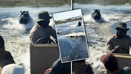 Momentul în care un hipopotam urmărește o barcă plină cu turiști în Botswana: „A fost unul dintre cele mai înfricoșătoare momente”