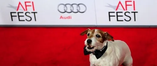Cel mai cunoscut câine din lume, Uggie, din filmul The Artist, își scrie memoriile