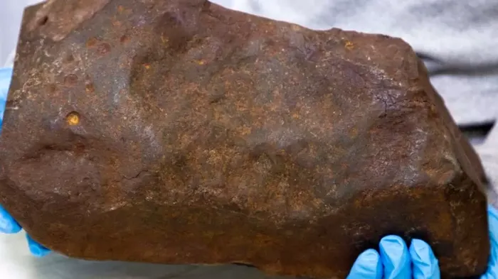 Meteoritul Maryboroug, vechi de 4,6 miliarde de ani / FOTO - Muzeele Victoria