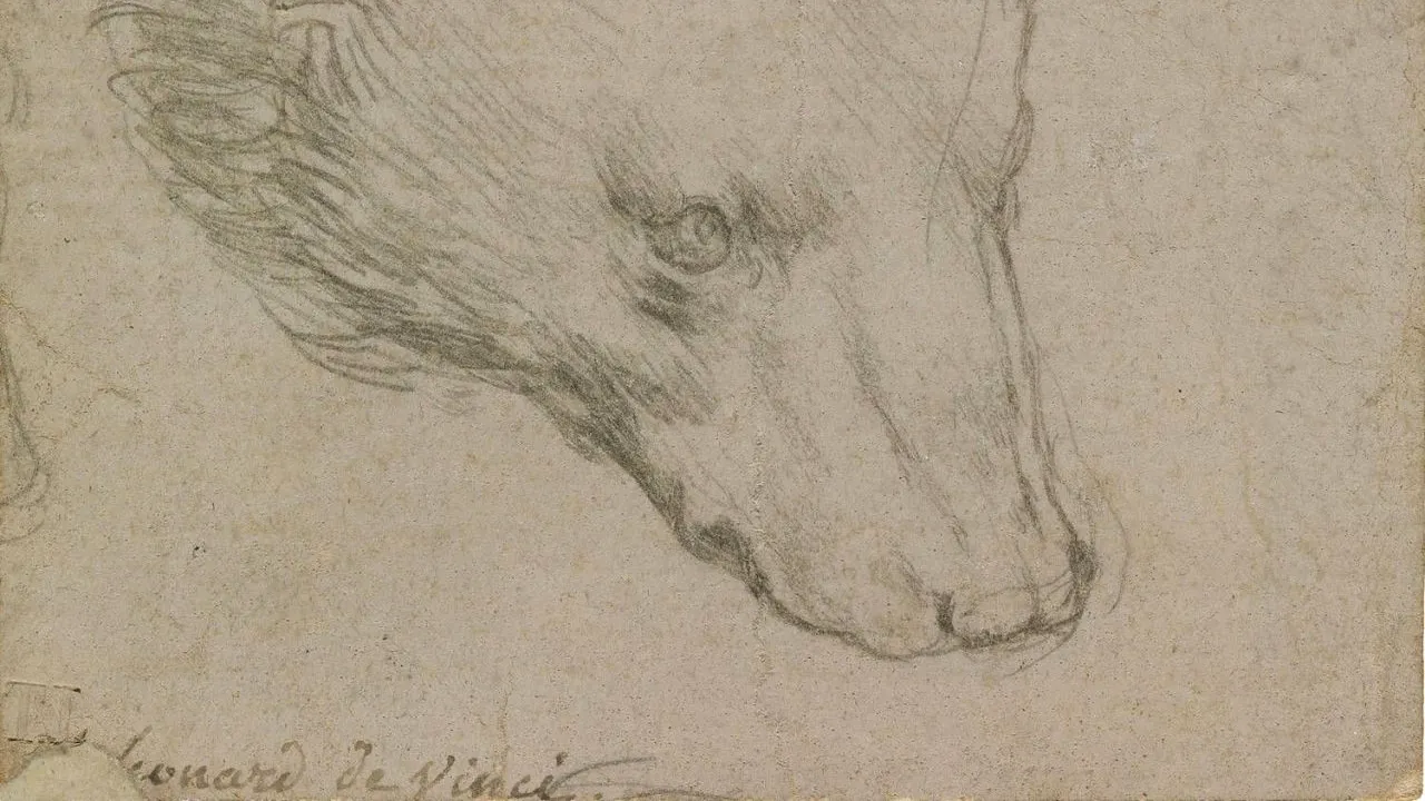 Cap de urs, desen de Leonardo da Vinci pe numai 7 cm pătrați. Prețul incredibil cerut la licitație!