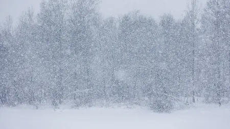 Cod galben de ninsori și viscol de 120 km/h în România. Ce zone sunt vizate