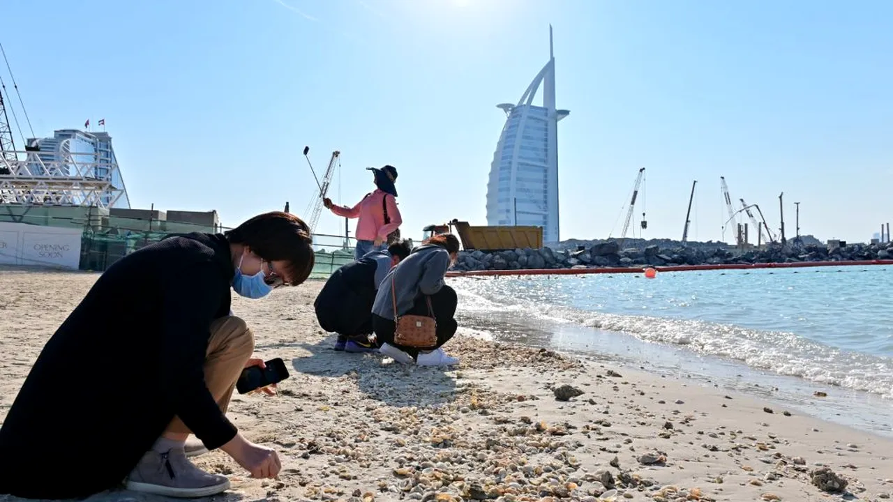 Primele cazuri diagnosticate cu noul coronavirus în Orientul Mijlociu, o familie de chinezi din Emiratele Arabe Unite