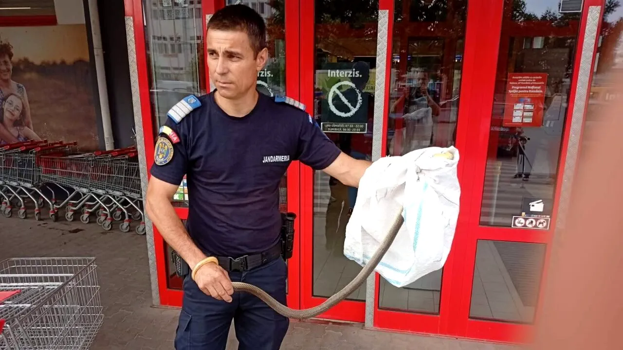 DESCOPERIRE șocantă într-un coș de cumpărături, din parcarea unui supermarket. Jandarmii au fost chemați de urgență de șefa magazinului