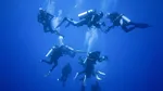 Ce au găsit cercetătorii în Antarctica ar putea schimba tratamentele pentru cancerul de piele