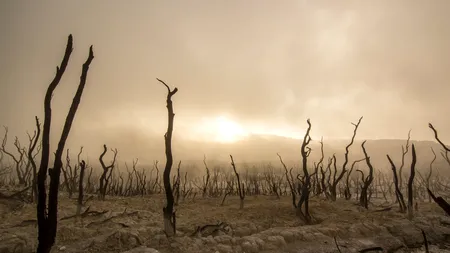 Căldura va continua să facă victime. Mai multe orașe vor fi de nelocuit