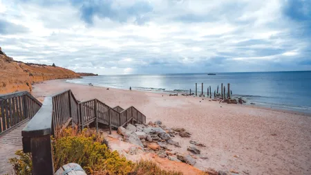 Creatura bizară găsită de un localnic pe o plajă din Australia. Ar fi fost adusă la mal, după o furtună puternică