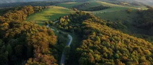 Cea mai mare pădure din România. Are 17.100 hectare și este la doar 209 km de București