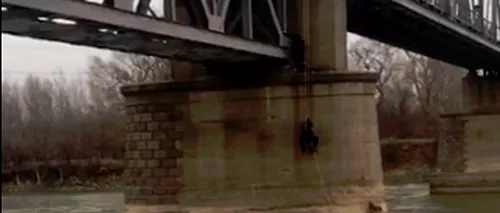 Video emoționant cu un cățel blocat pe un pilon al unui pod dintr-o comună din Vrancea, salvat de pompieri