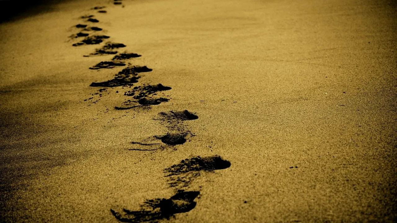 NEVOIȚI SĂ REVINĂ PE JOS acasă, din cauza restricţiilor antiepidemice