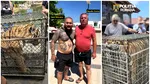 Descinderi la o grădină zoologică din Dâmbovița, care funcționează ilegal de ani de zile. Tigri și un pui de leu mort în congelator. Proprietarul, executor judecătoresc, are trei dosare penale la activ și legături cu Dani Mocanu