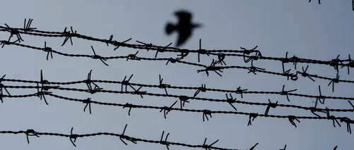 Un om moare la fiecare 3 zile în închisorile României. Imaginea unui sistem nereformat de peste 25 de ani