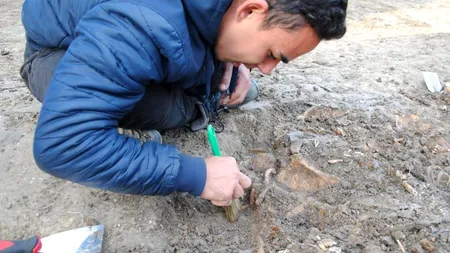 DESCOPERIRE MACABRĂ. Mormânt colectiv din perioada ciumei din secolul al-XVIII-lea, descoperit la Timișoara