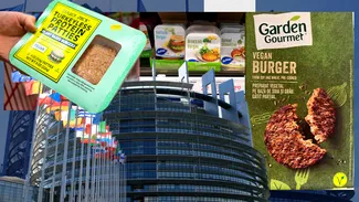 Parlamentul European a votat interzicerea denumirilor de „friptură”, „hamburger” sau „cârnați” pentru produsele VEGETARIENE