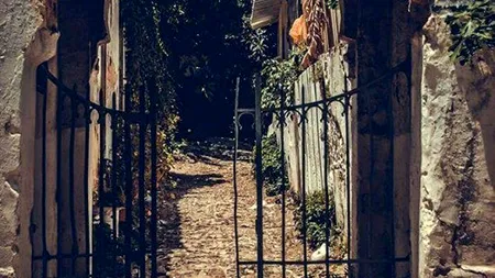 Ochiul pândaci, urechea dreasă, inima-n dinți