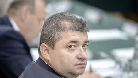 De ce nu poate Dănuț Andrușcă să ia locul lui Tudorel Toader