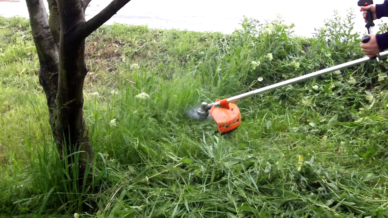 O sportivă în vârstă de 19 ani a fost atacată cu motocoasă în Bușteni. Tânăra, la un pas să își piardă braţul drept