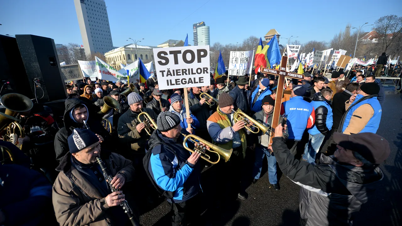 Peste 3.500 de reprezentanți ai industriei lemnului pichetează sediul Guvernului