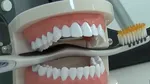 Fabrica de dinți de la Miroslava, în rețeaua unui lider european din industria dentară. Tranzacție medicală importantă